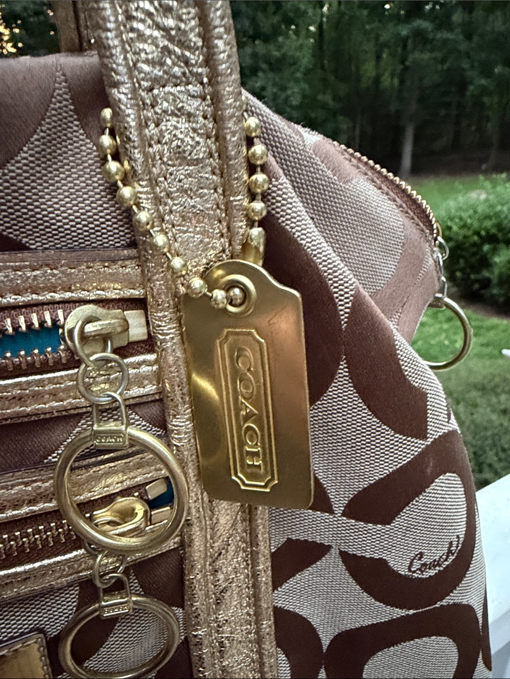 Coach Poppy Op Art Glam Tote (Style No. 13826) in Signature C Canvas - Picture 5 of 17
